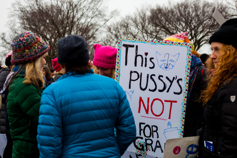 Illustration for article titled WOMEN'S MARCH ON WASHINGTON : THE SIGNS